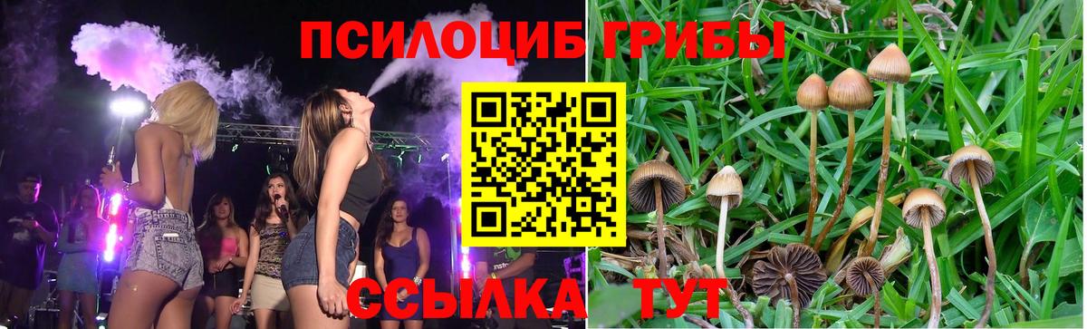 Псилоцибиновые грибы прущие грибы Коммунар